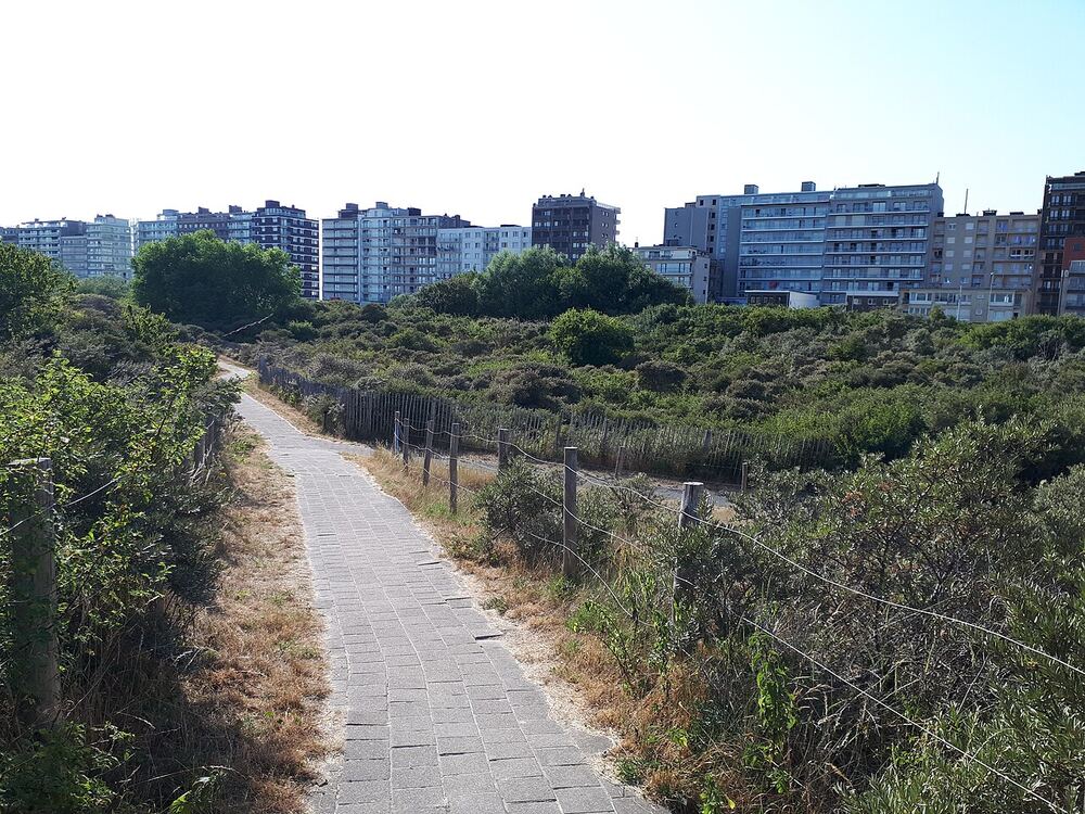 Een verhard duinpad dat naar het strand van Westende loopt